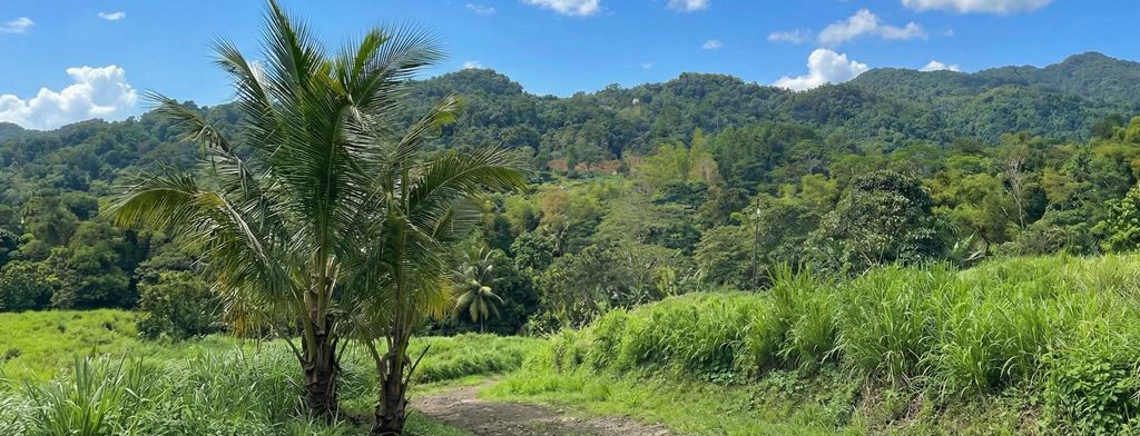 Sector Los Benítes, PR-84, Lote 33 San Juan 00926 PR