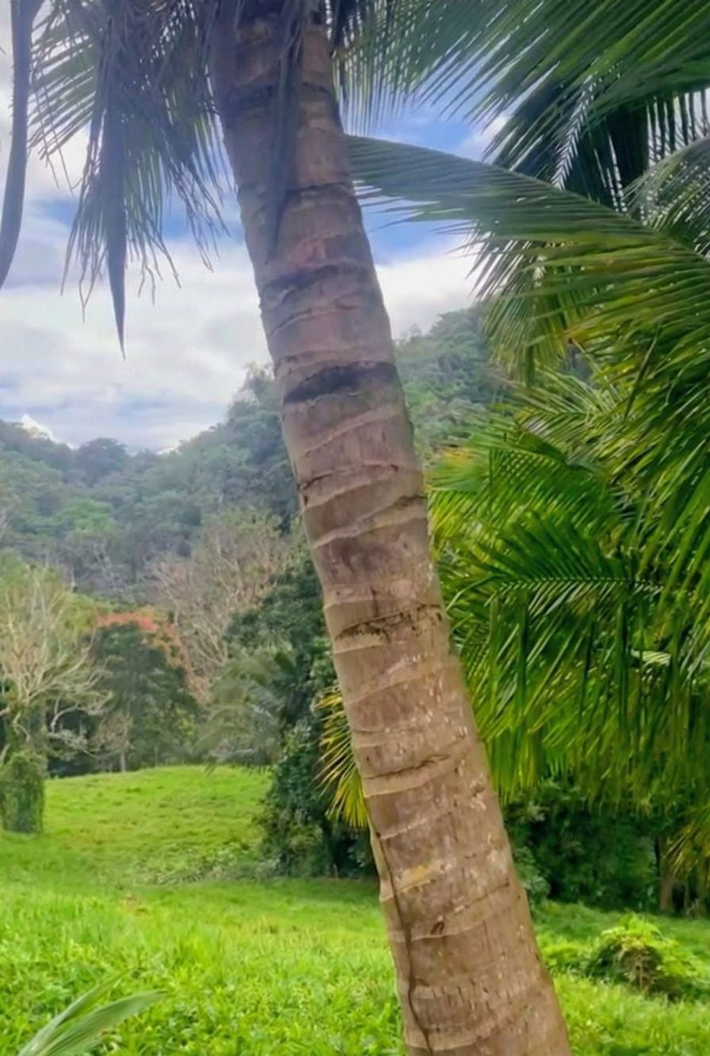 Sector Los Benítes, PR-84, Lote 33 San Juan 00926 PR