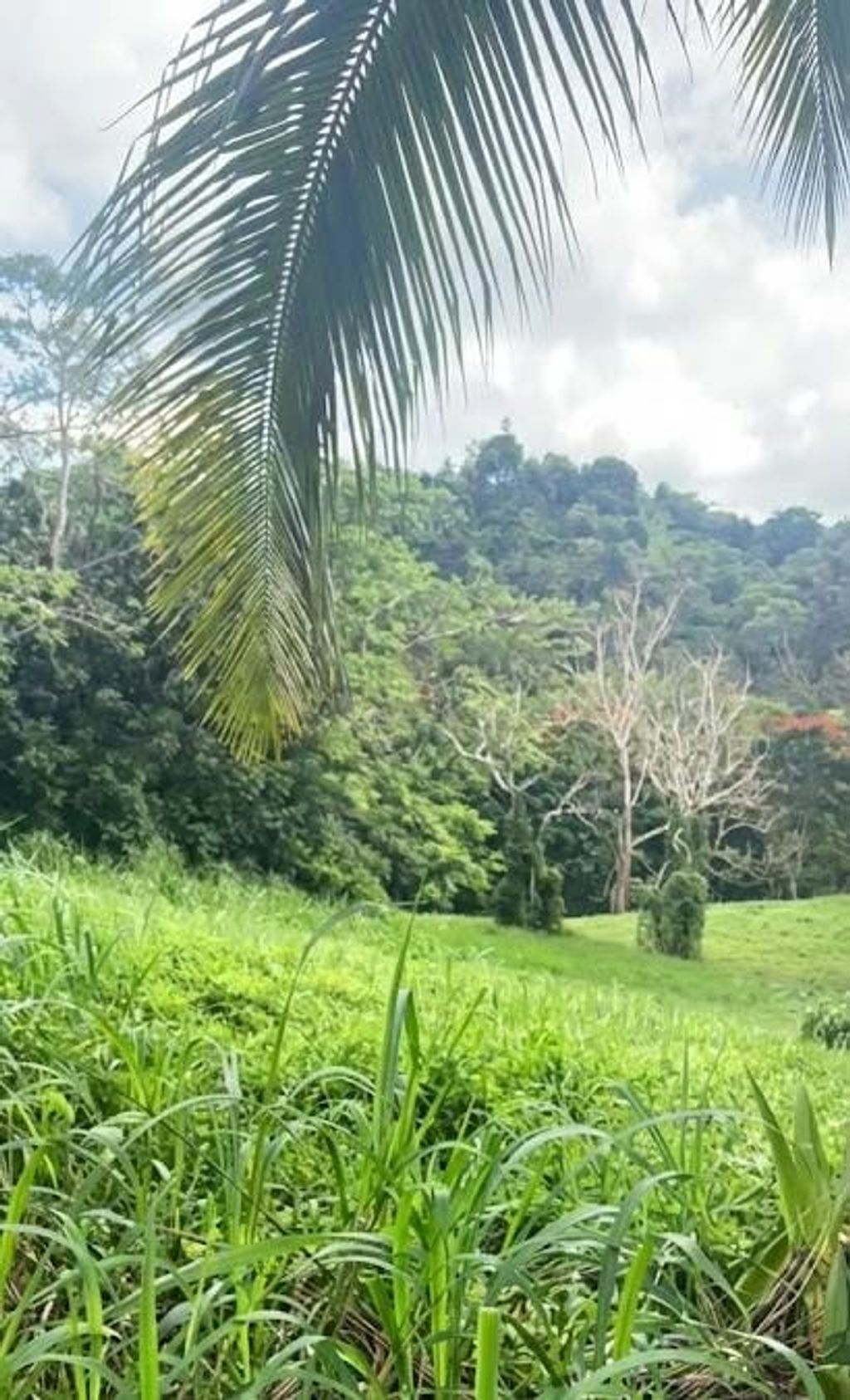 Sector Los Benítes, PR-84, Lote 33 San Juan 00926 PR