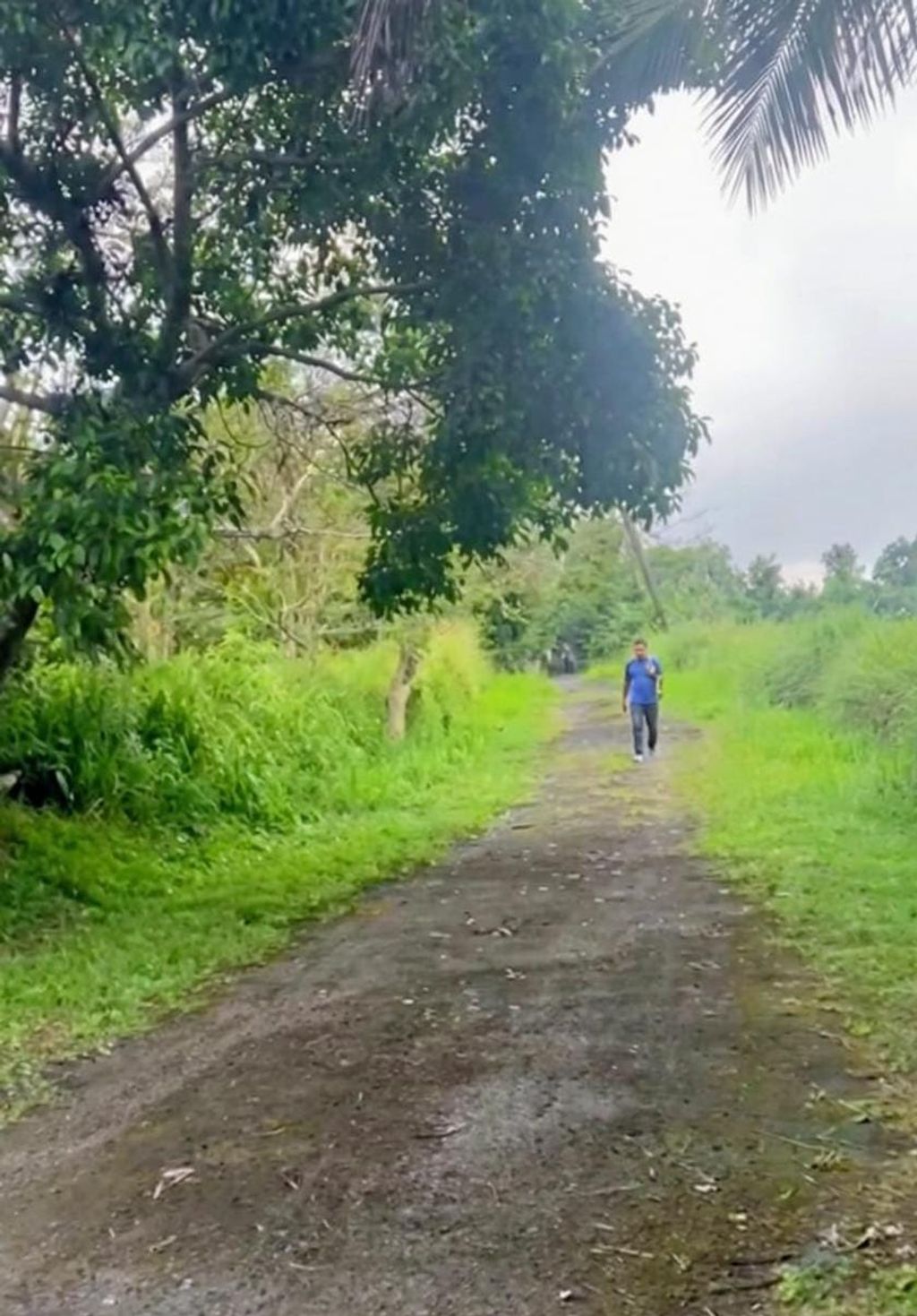 Sector Los Benítes, PR-84, Lote 33 San Juan 00926 PR