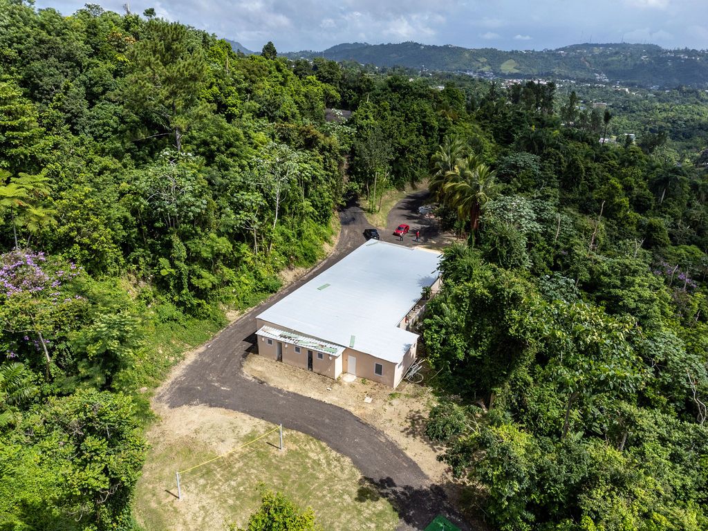 Sector La Vega, Km 4.4, Pr-794 Aguas Buenas 00703 PR