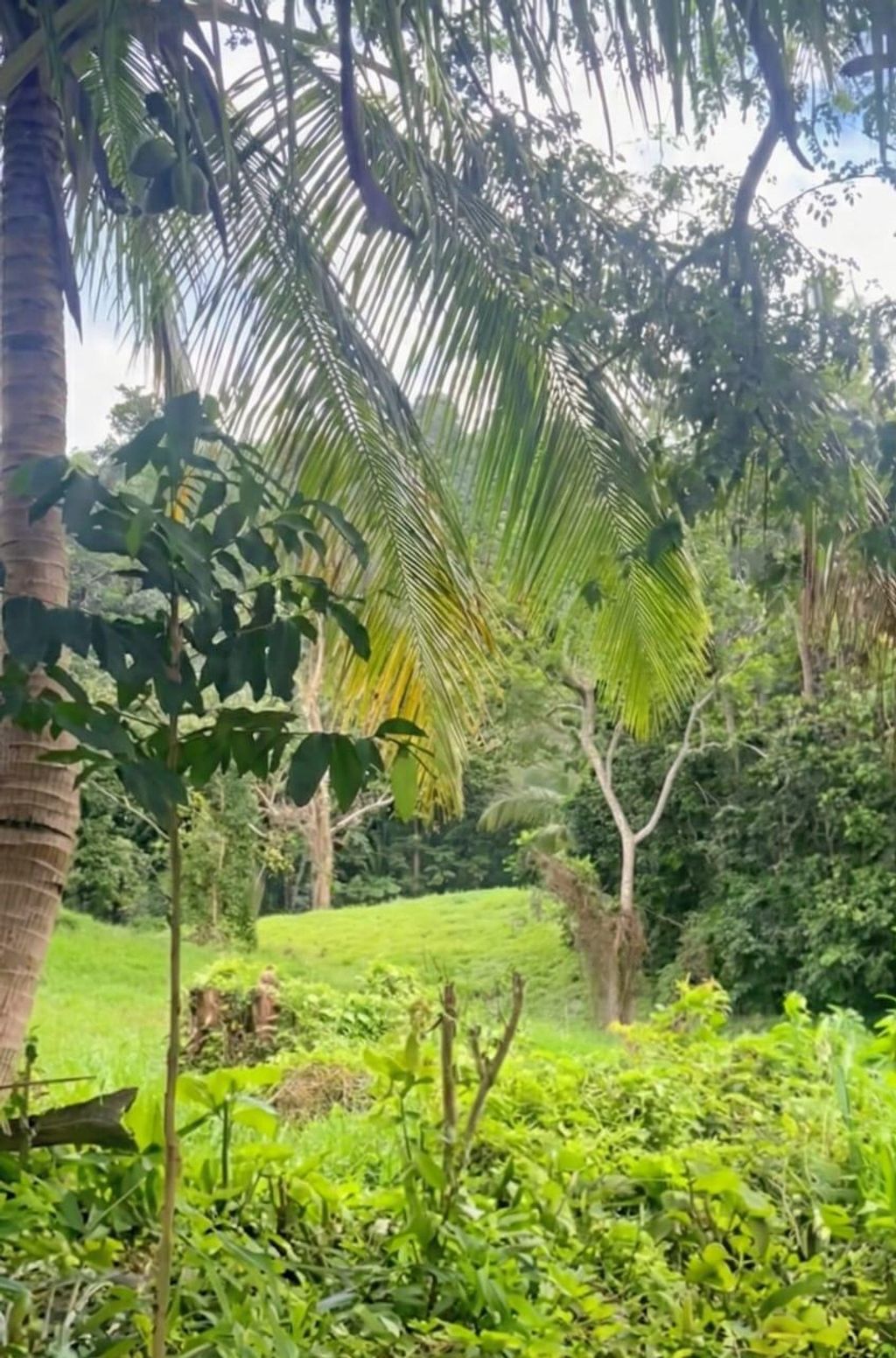 Sector Los Benítes, PR-84, Lote 33 San Juan 00926 PR