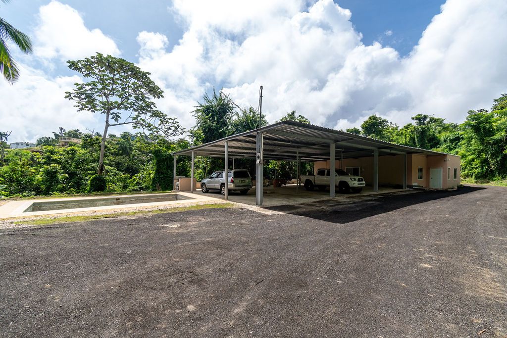 Sector La Vega, Km 4.4, Pr-794 Aguas Buenas 00703 PR