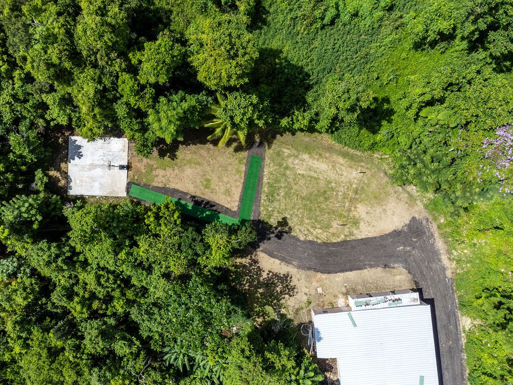 Sector La Vega, Km 4.4, Pr-794 Aguas Buenas 00703 PR