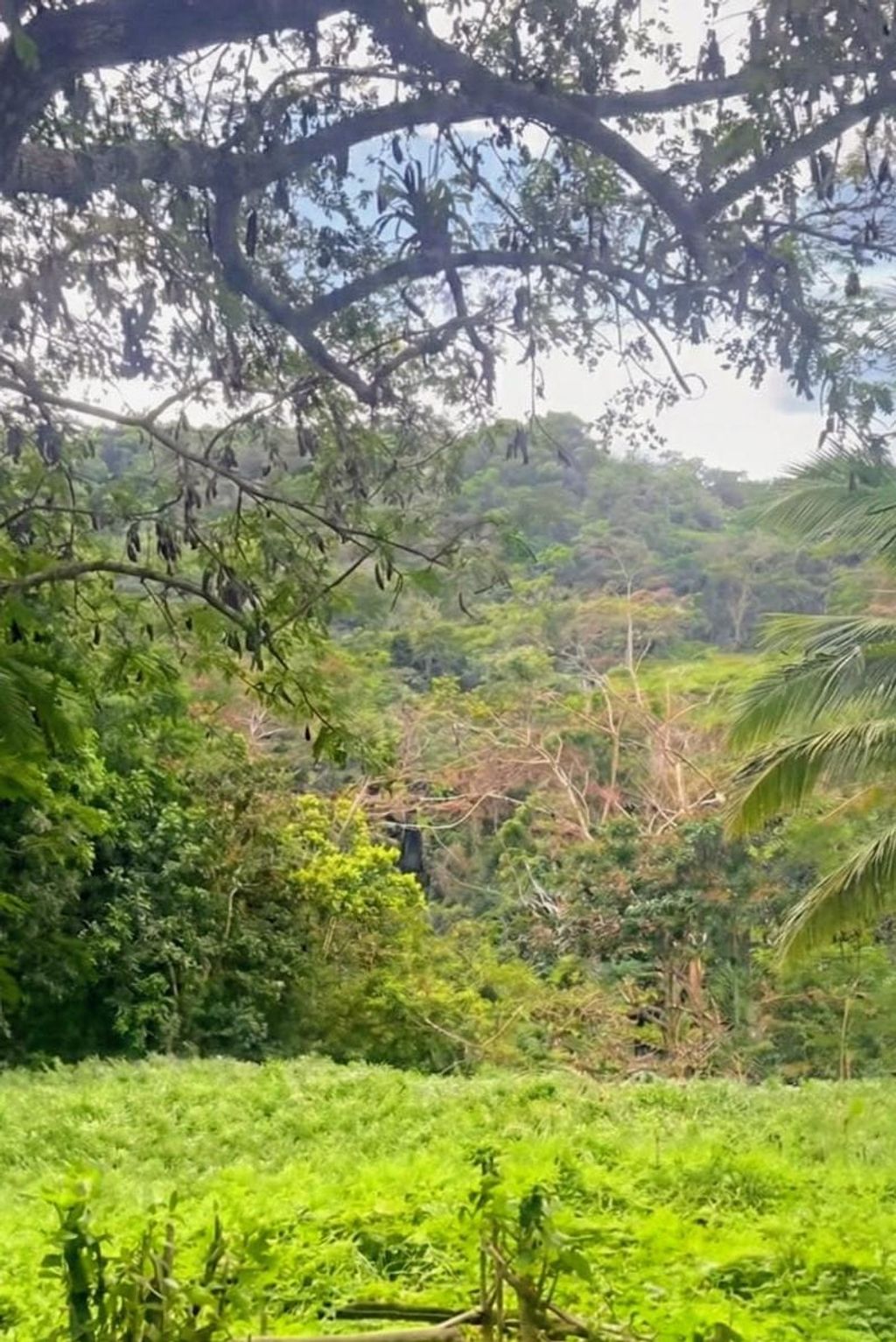 Sector Los Benítes, PR-84, Lote 33 San Juan 00926 PR