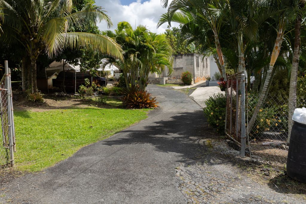 1, Pr 969, Bo. Maizales Naguabo 00718 PR