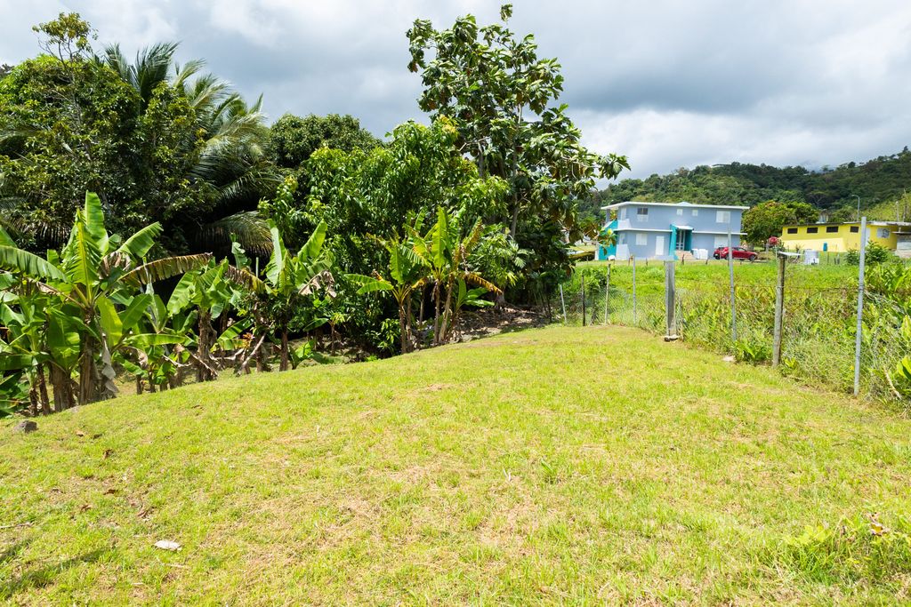 1, Pr 969, Bo. Maizales Naguabo 00718 PR