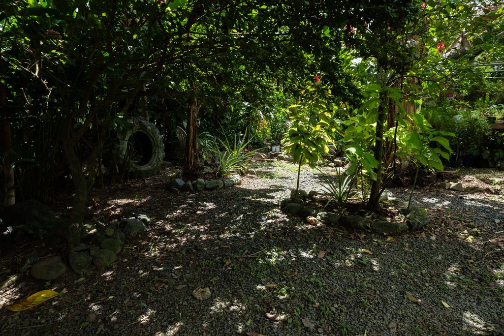 1, Pr 969, Bo. Maizales Naguabo 00718 PR