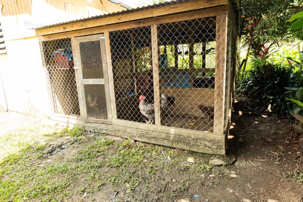 1, Pr 969, Bo. Maizales Naguabo 00718 PR