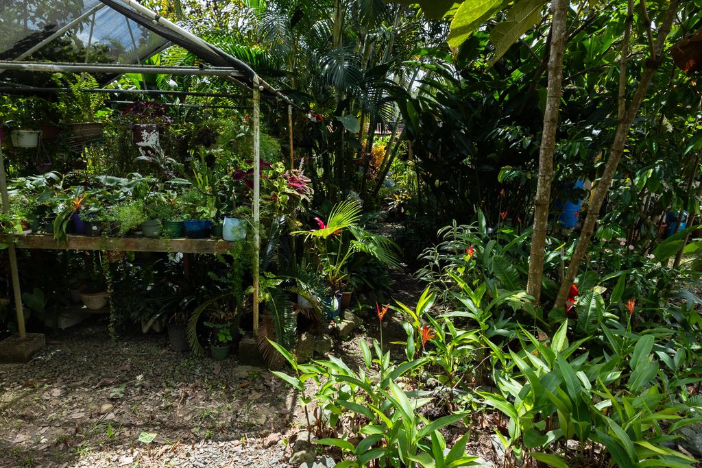 1, Pr 969, Bo. Maizales Naguabo 00718 PR