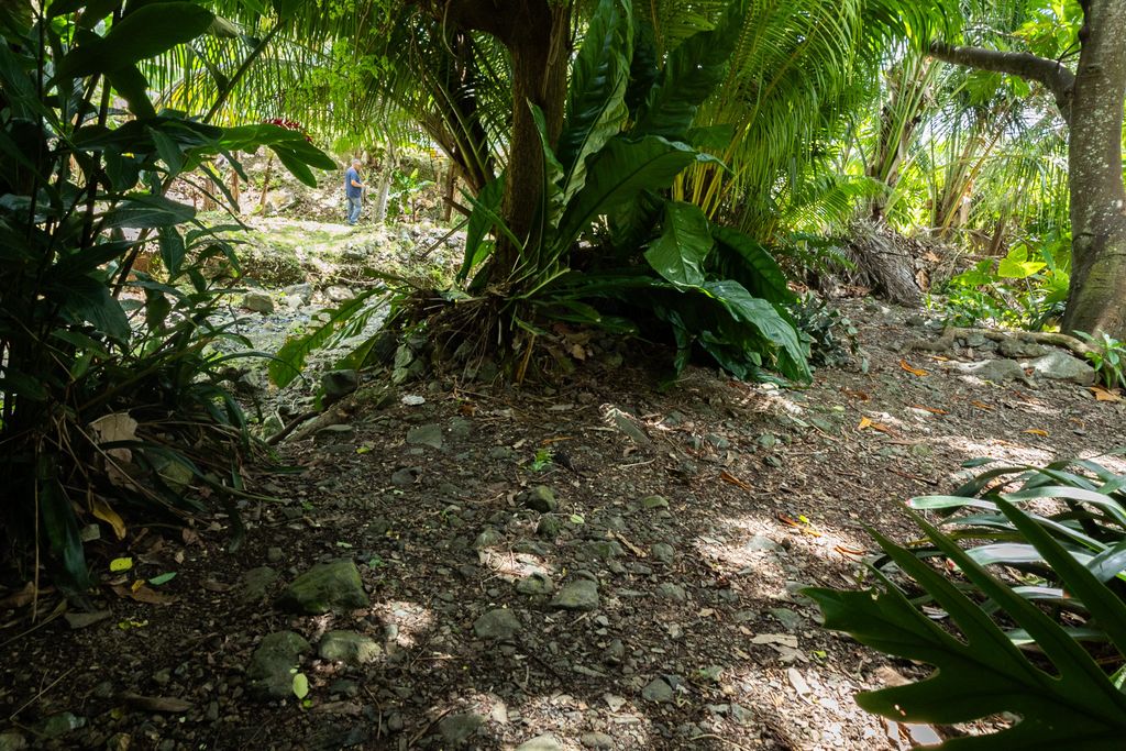 1, Pr 969, Bo. Maizales Naguabo 00718 PR