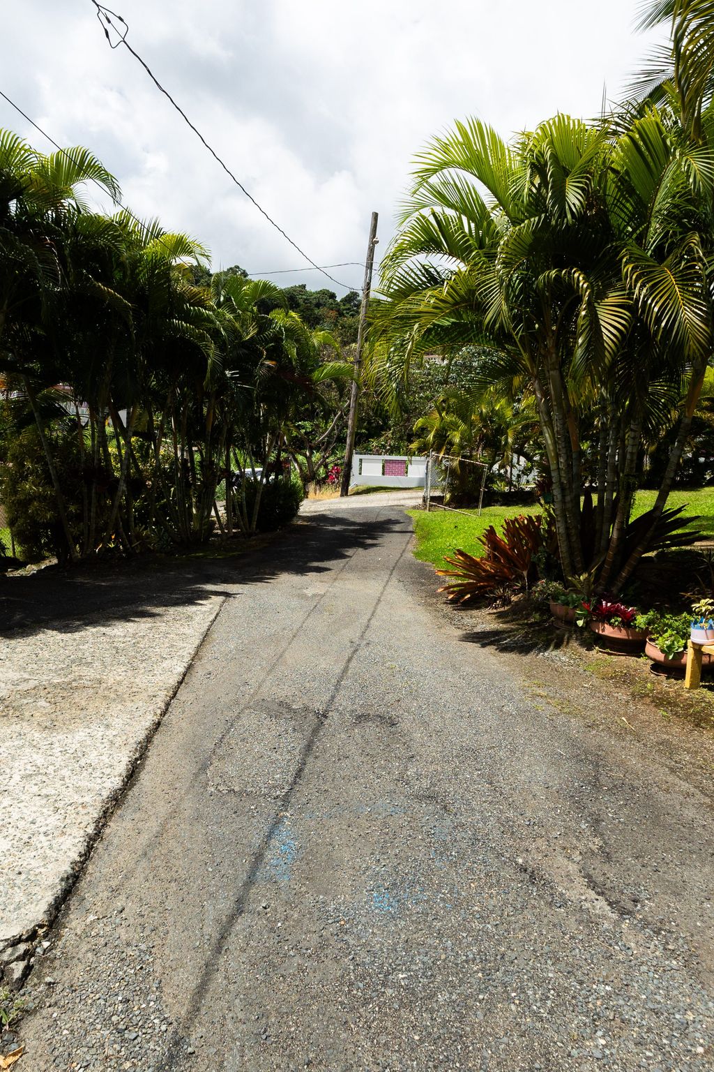 1, Pr 969, Bo. Maizales Naguabo 00718 PR