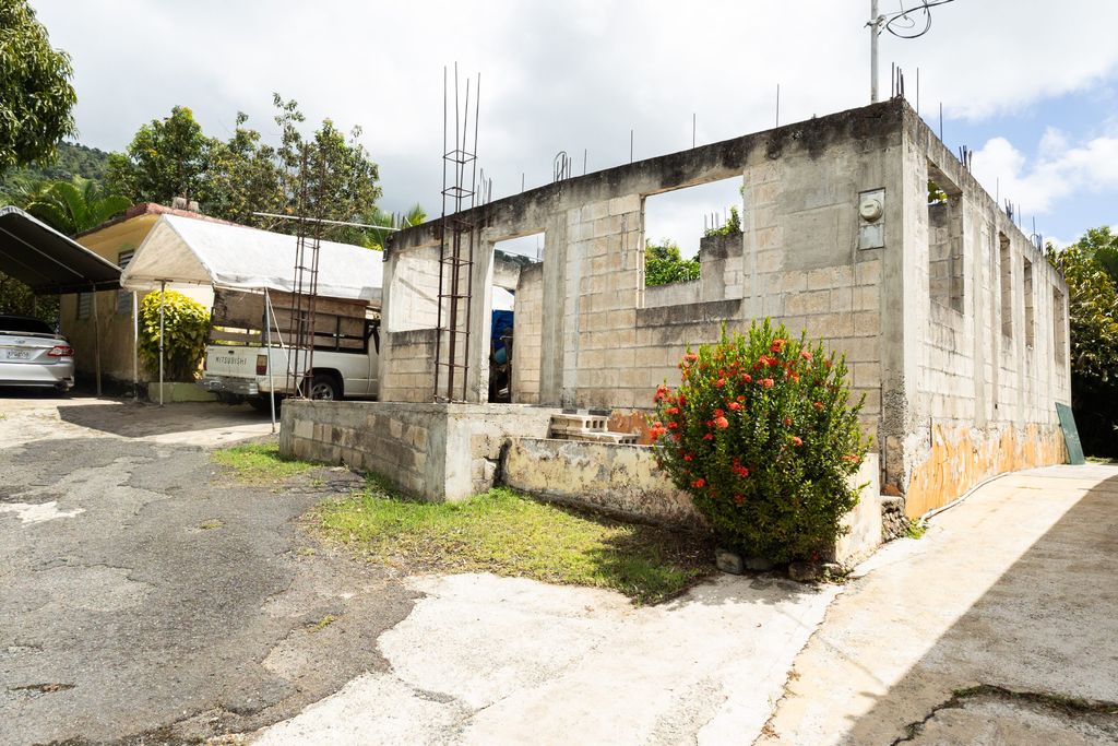 1, Pr 969, Bo. Maizales Naguabo 00718 PR