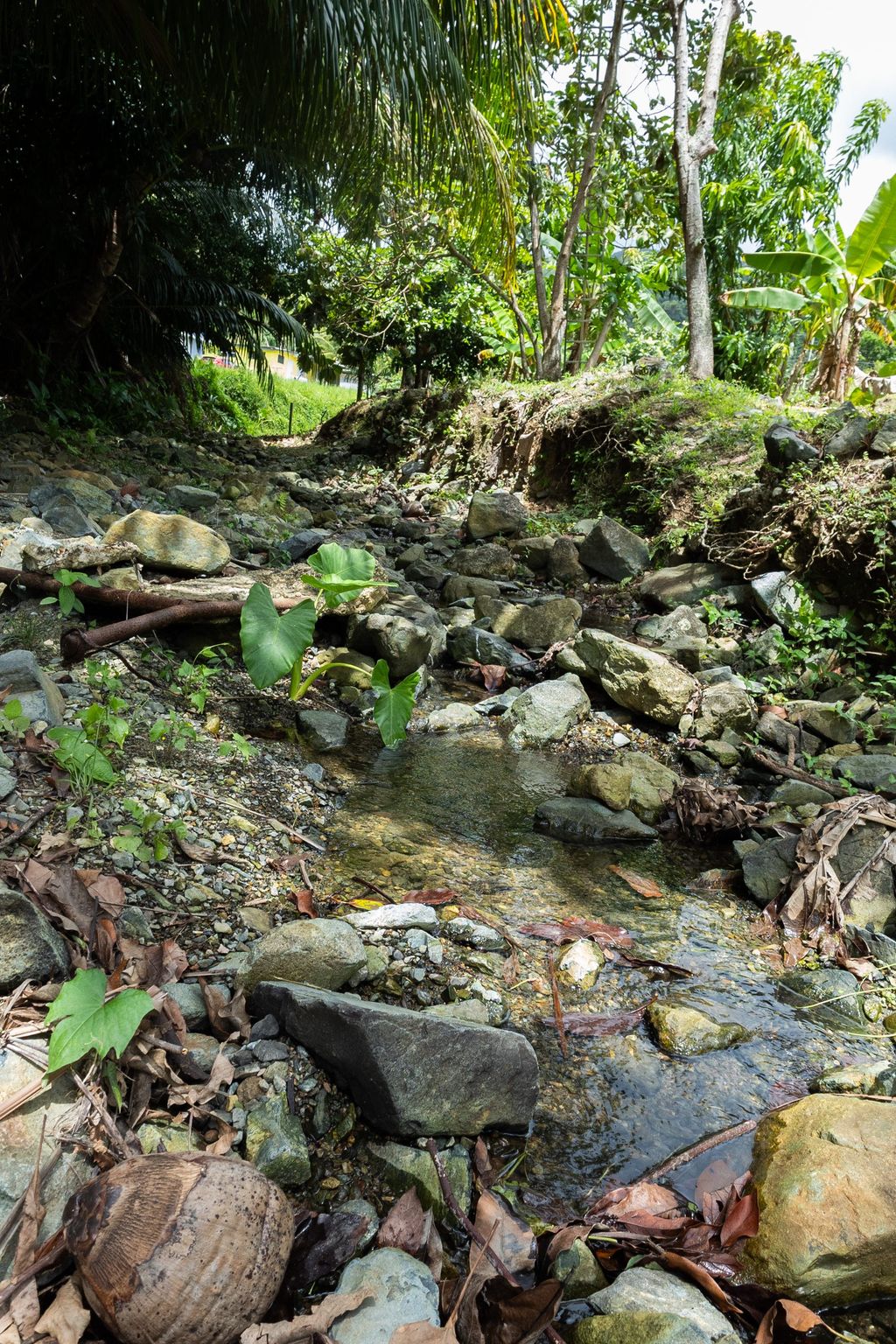 1, Pr 969, Bo. Maizales Naguabo 00718 PR