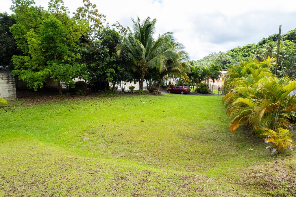 1, Pr 969, Bo. Maizales Naguabo 00718 PR