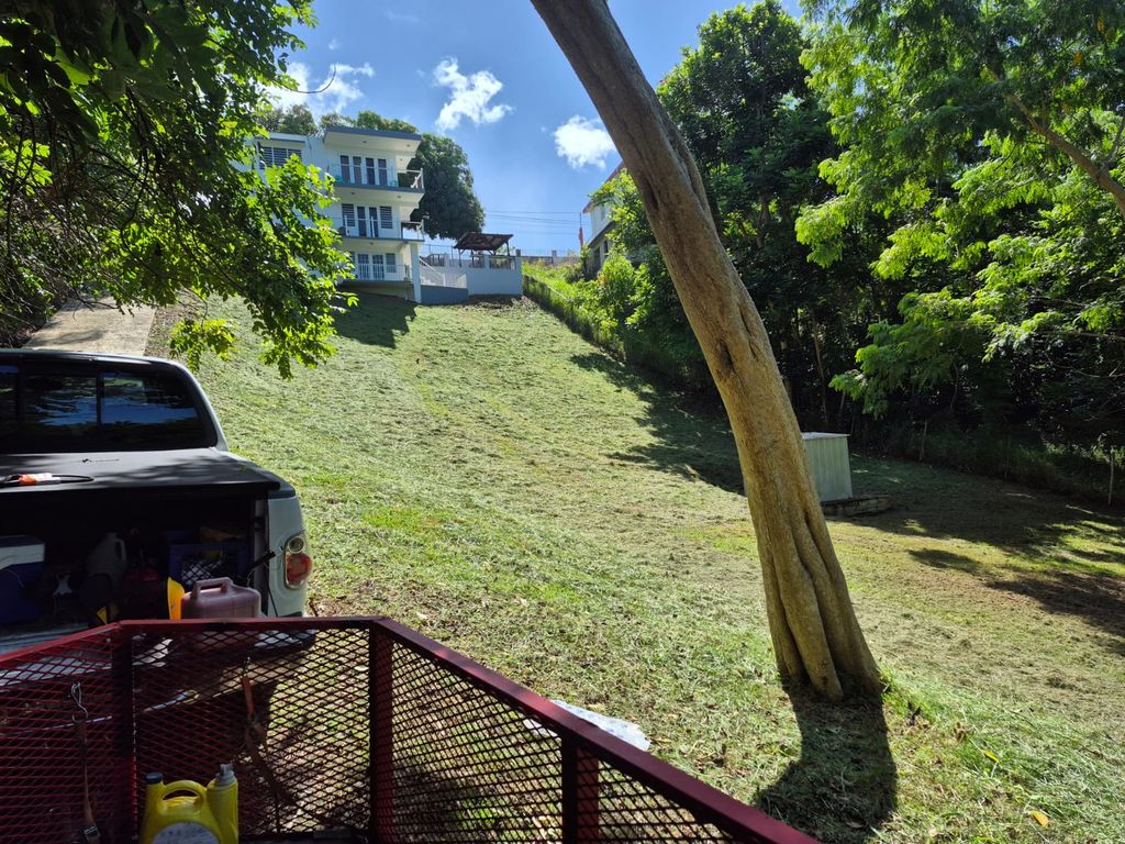 Carr. 115 Km 11.6, Bo. Pueblo Rincon 00677 PR