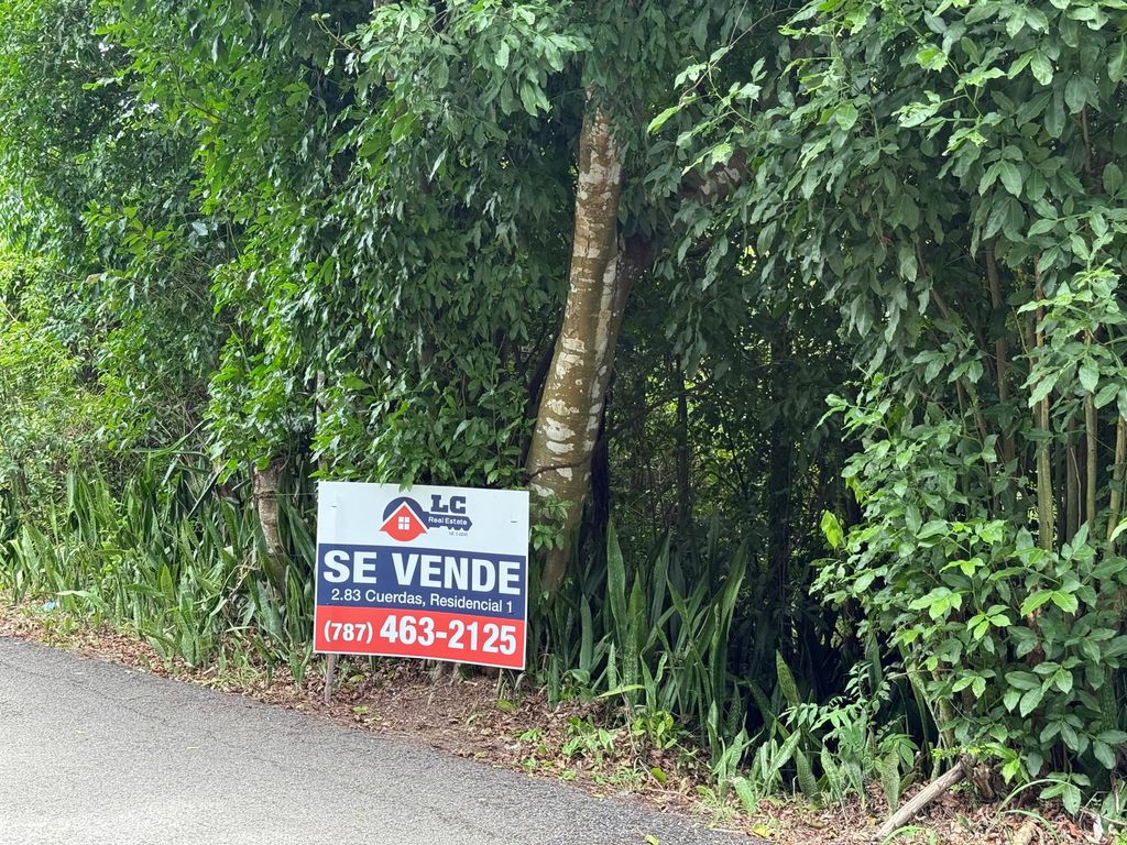 SOLAR C/2, Barrio Pedernales, Cabo Rojo - 5