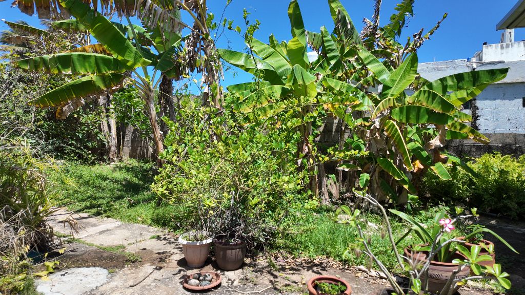 Lote 3, La Playa, Arecibo - 15