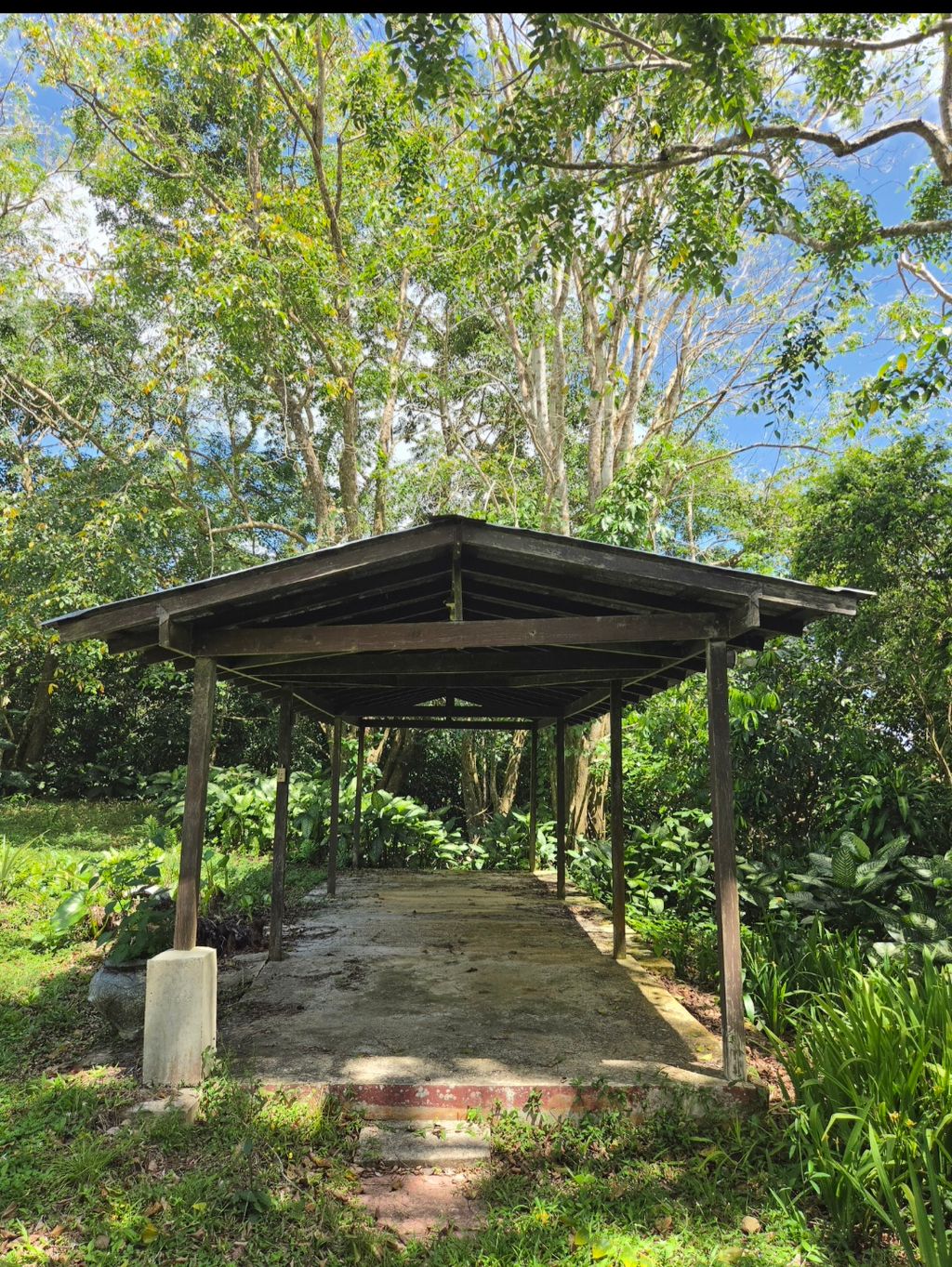 Calle Mogote, Bo. Palo Hincado Barranquitas 00794 PR