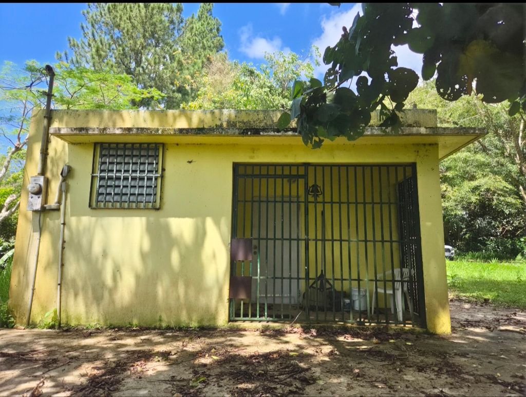 Calle Mogote, Bo. Palo Hincado Barranquitas 00794 PR