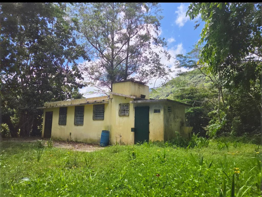 Calle Mogote, Bo. Palo Hincado Barranquitas 00794 PR
