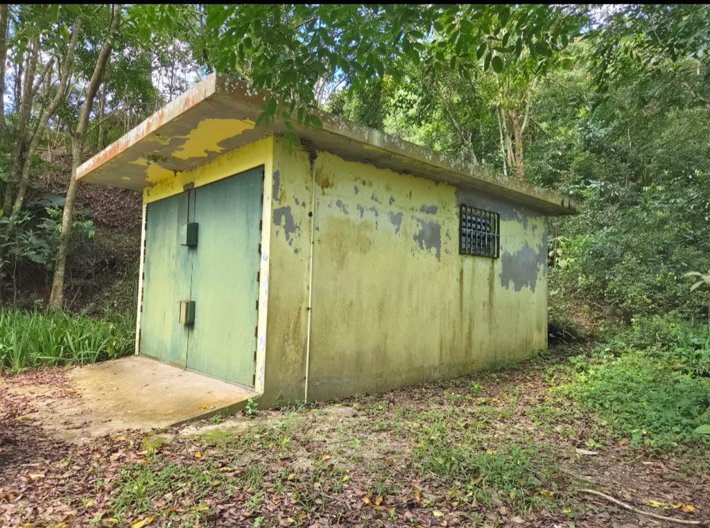 Calle Mogote, Bo. Palo Hincado Barranquitas 00794 PR
