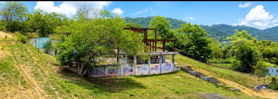 , Caguas - 1