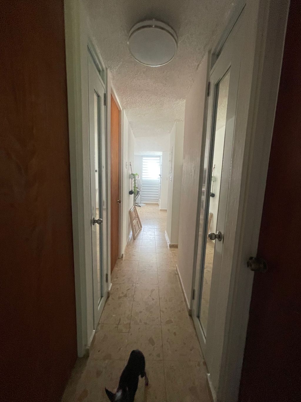 J3 , 6, Vista Monte Cidra 00739 PR