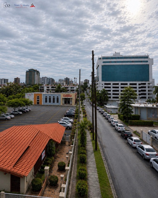 27, Calle Matienzo Cintron, Guaynabo - 3