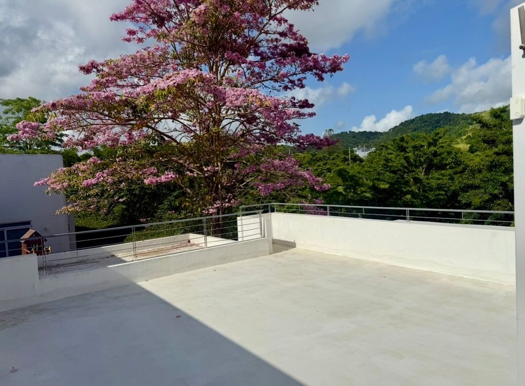 213, Neblina, Los Altos Gurabo 00778 PR