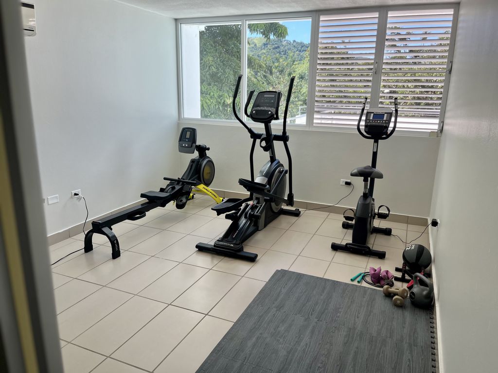 213, Neblina, Los Altos Gurabo 00778 PR