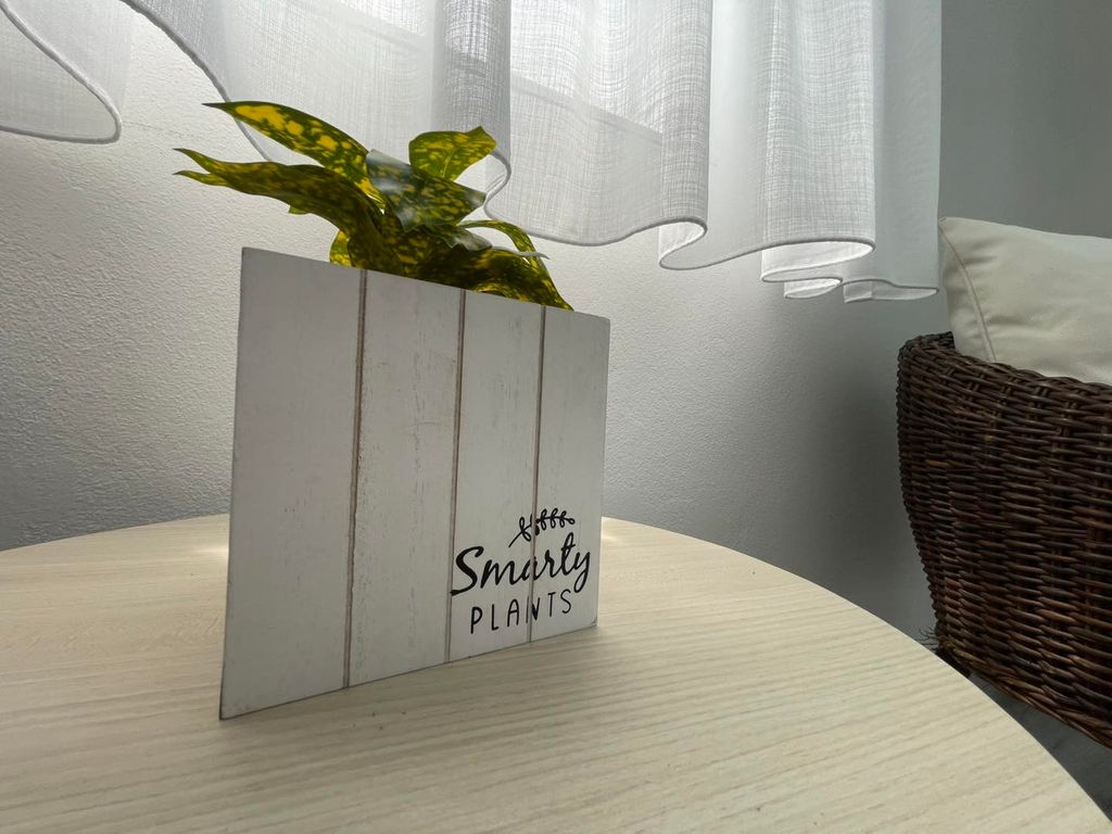 1, Condominio Ocean Palace Rincon 00677 PR