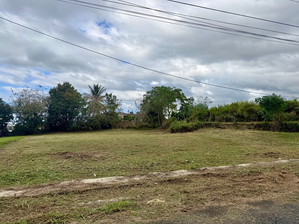 SN, Sn, Bo. Corrales, Carr 2 Km 122.3 Aguadilla 00603 PR