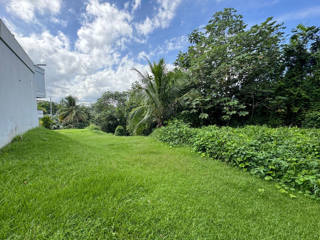 1, Calle Santa Anastacia San Juan 00926 PR