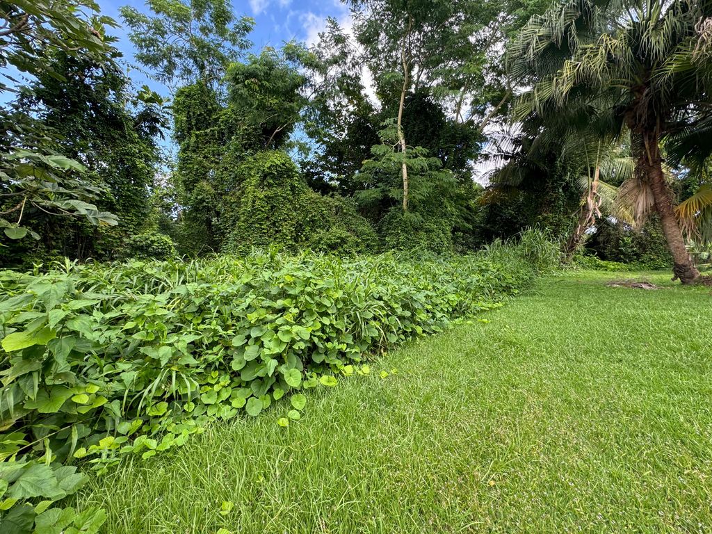 1, Calle Santa Anastacia San Juan 00926 PR