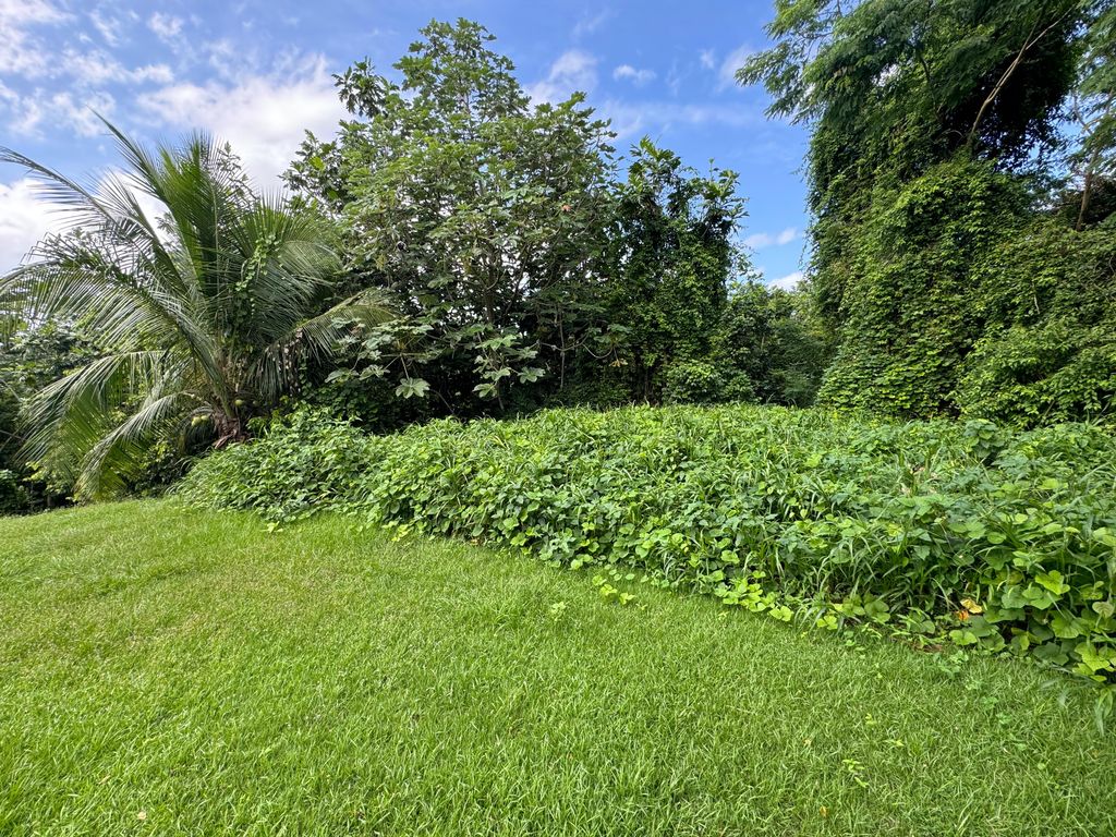 1, Calle Santa Anastacia San Juan 00926 PR