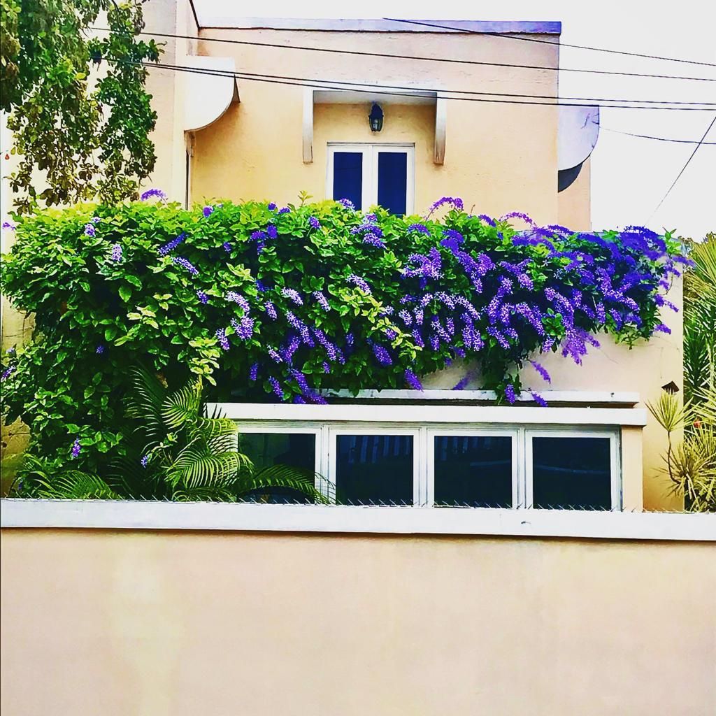 76, Calle Ojeda San Juan 00907 PR