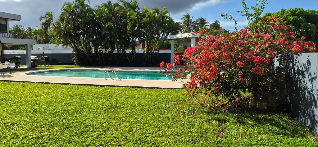 A20, San Pedro Estates, Caguas - 12