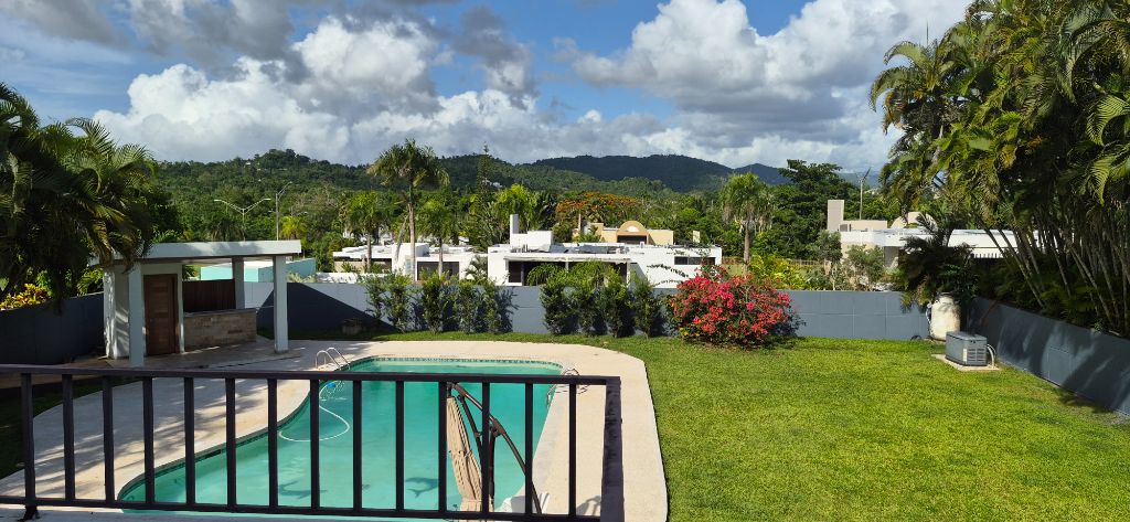 A20, San Pedro Estates, Caguas - 13