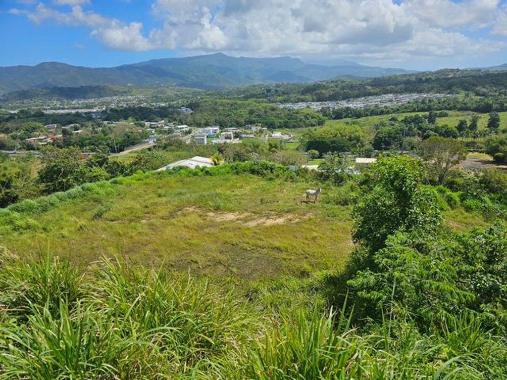 Bo Ceiba Sur, Pr 198 Km 16.9 Juncos 00777 PR