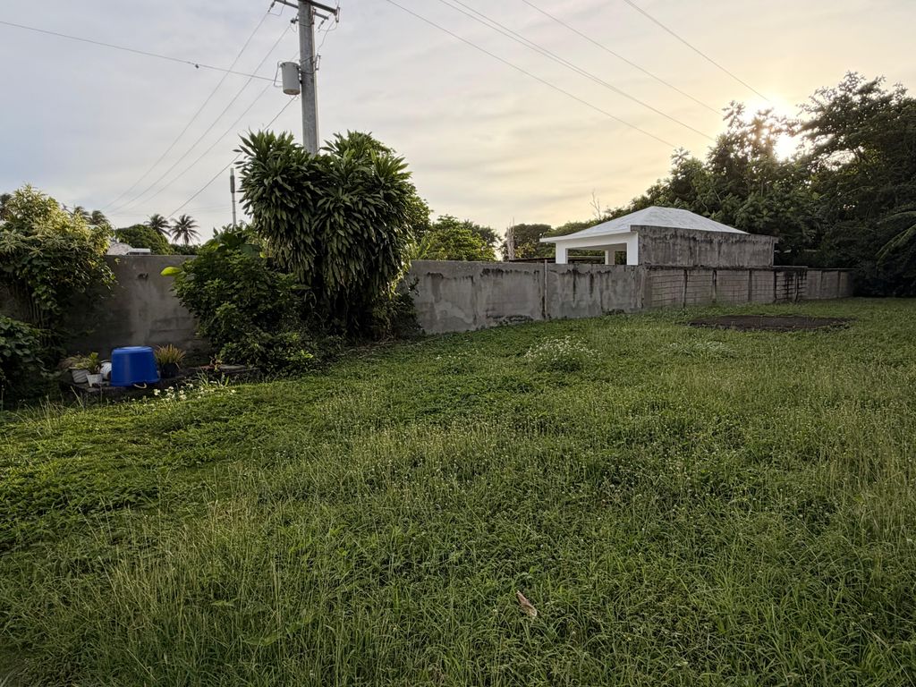 #24 Comm Buena Vista, Bo Guardarrraya Patillas 00723 PR