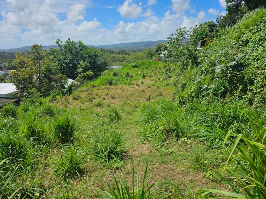 Bo Ceiba Sur, Pr 198 Km 16.9 Juncos 00777 PR