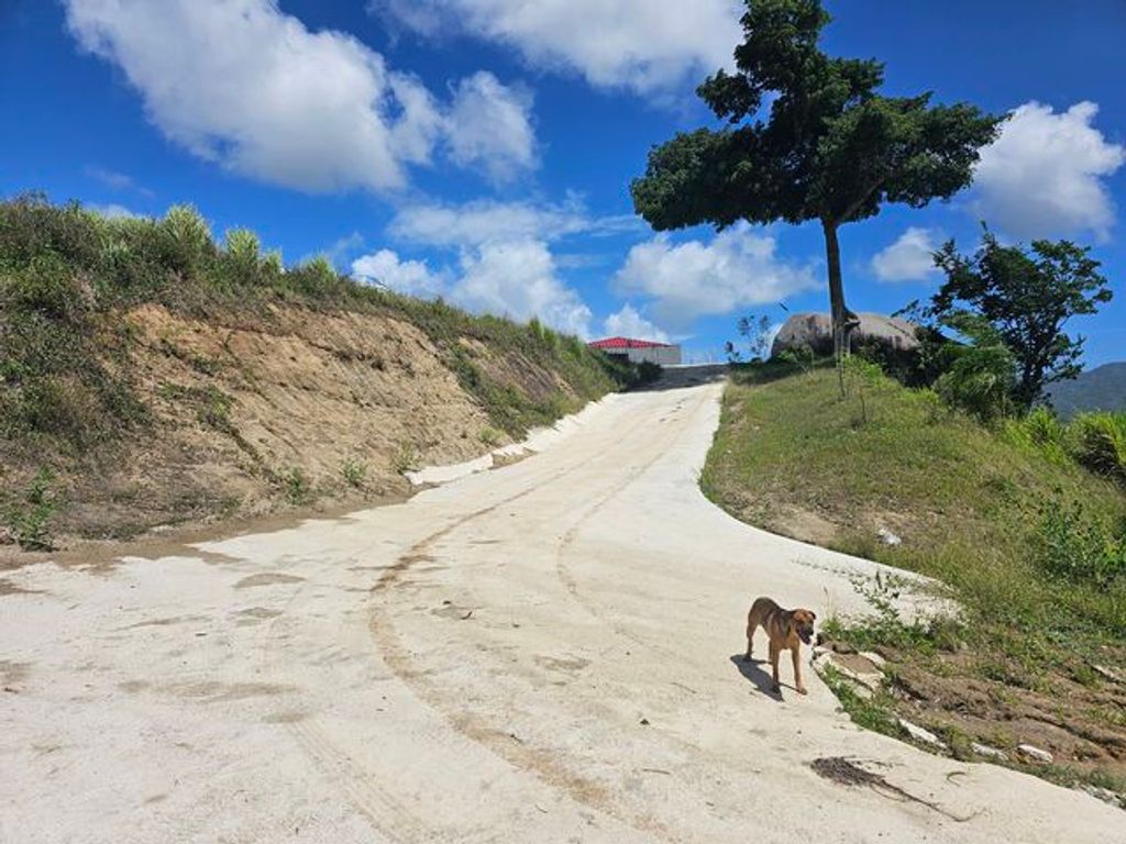 Bo Ceiba Sur, Pr 198 Km 16.9 Juncos 00777 PR