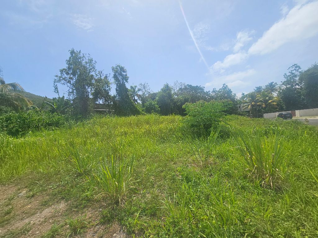#31, Urb Estancias De Monte Verde, Gurabo - 4