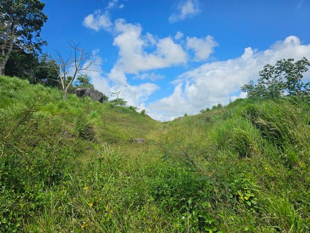 Bo Ceiba Sur, Pr 198 Km 16.9 Juncos 00777 PR