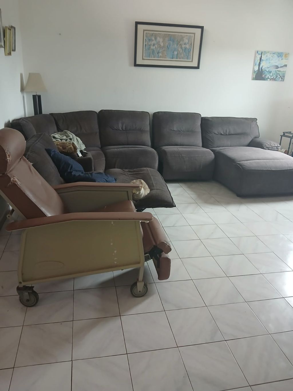 #9, Calle 53, Comunidad Machos Ceiba 00735 PR