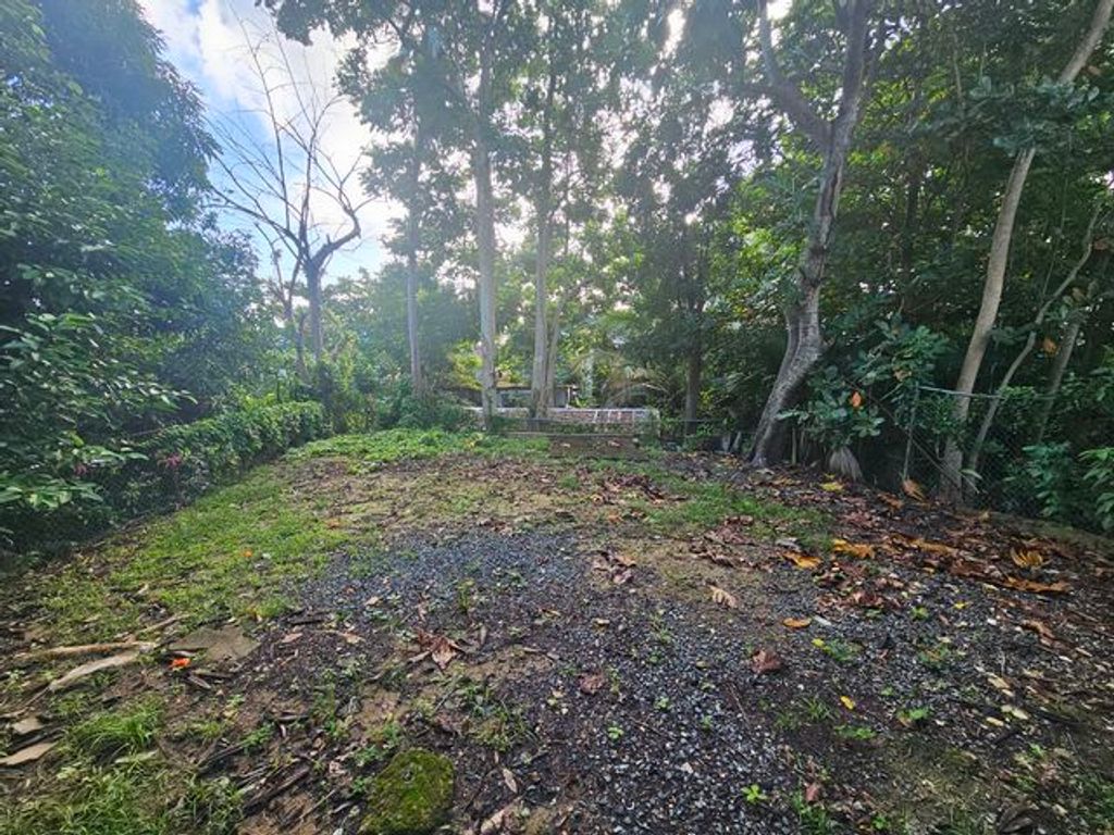 Urb Bunker, 427 Calle Costa Rica Caguas 00725 PR