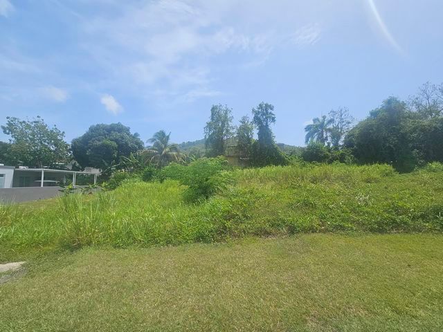 #31, Urb Estancias De Monte Verde, Gurabo - 2