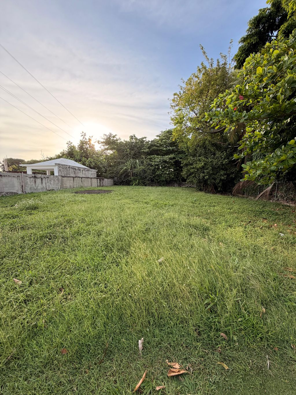 #24 Comm Buena Vista, Bo Guardarrraya Patillas 00723 PR