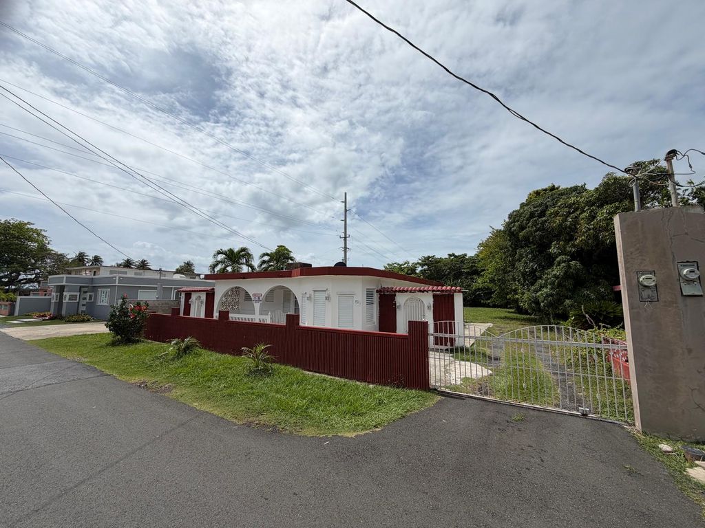 #24 Comm Buena Vista, Bo Guardarrraya Patillas 00723 PR